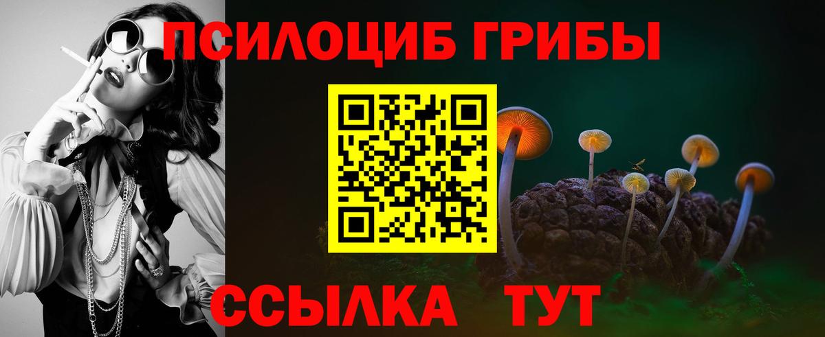 как найти   Галлюциногенные грибы MAGIC MUSHROOMS  Вход с VPN  Ханты-Мансийск 